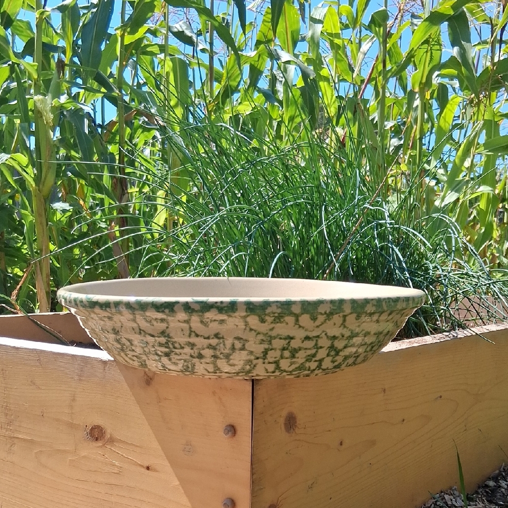 Vintage Roseville Large Pasta Bowl